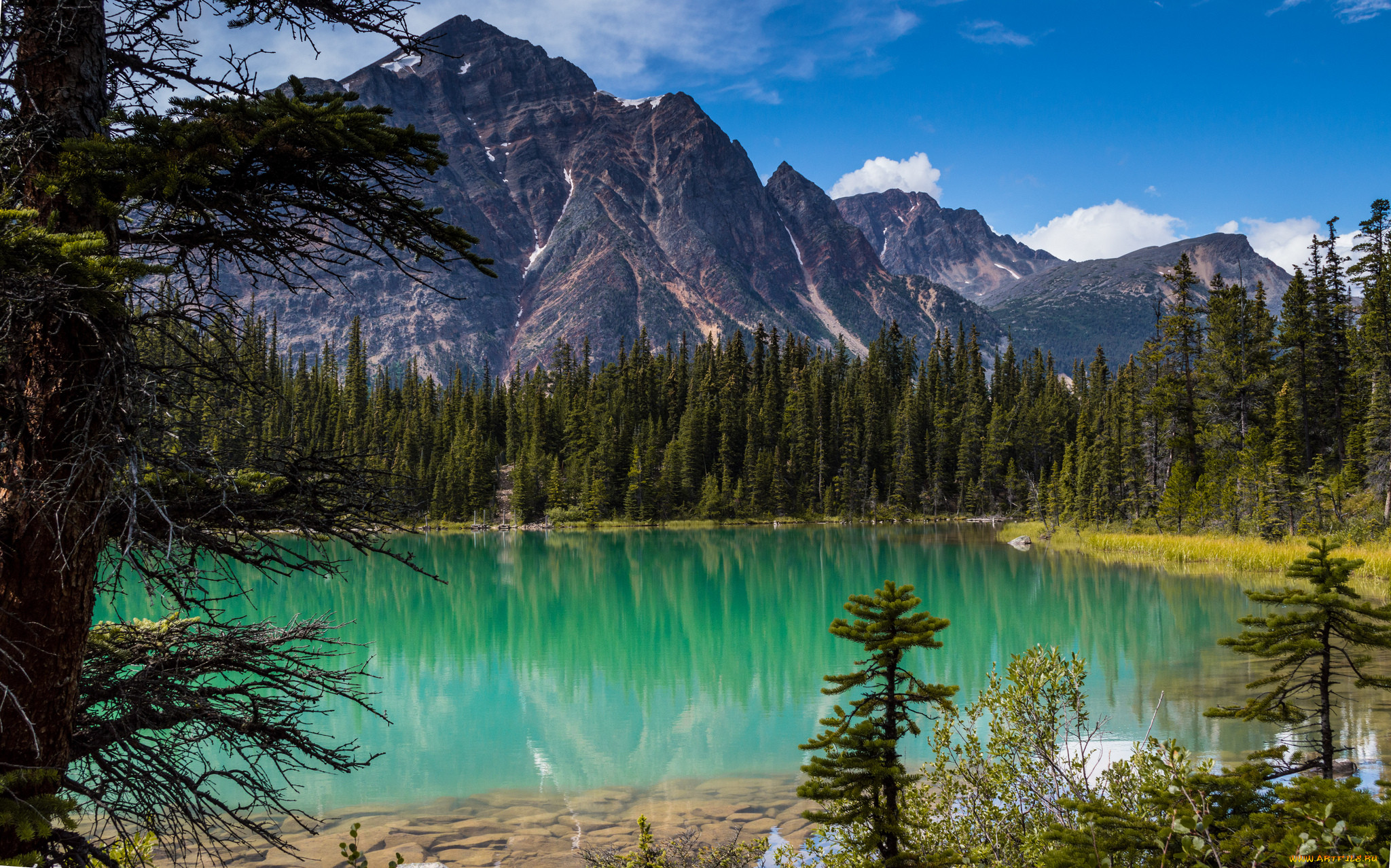 cavell, lake, jasper, national, park, alberta, canada, , , , rocky, mountains, , , , , 